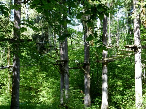 Wald- und Hochseilgarten