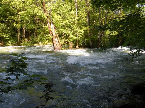 Insel in der Königsseer Ache