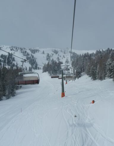 Zirbenjet am Fanningberg