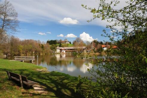 Der Lauser Weiher in Feldkirchen-Westerham.