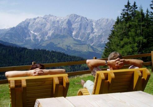 Logenplatz Pronebenalm