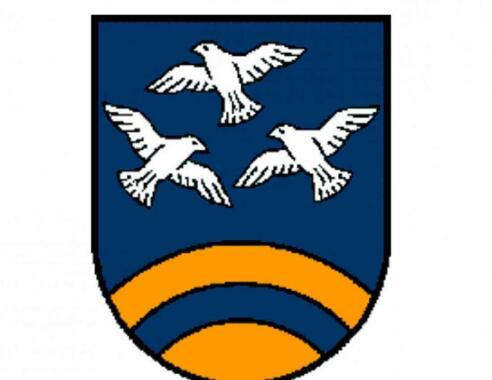 Logo Traunkirchen