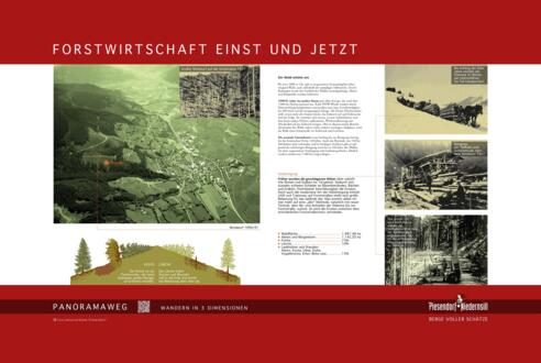 Forstwirtschaft Einst und Jetzt