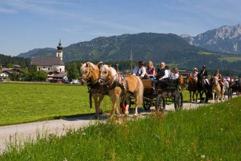 Kutschenfahrten mit Mathias Krall