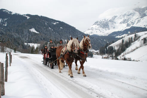 Pferdeschlittenfahrten Elmaugut