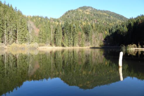 Natur Bichlersee