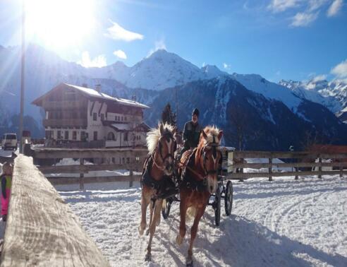 Reiten am Veitenhof