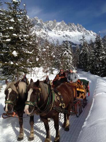 Pferdeschlittenfahrten Kniegut