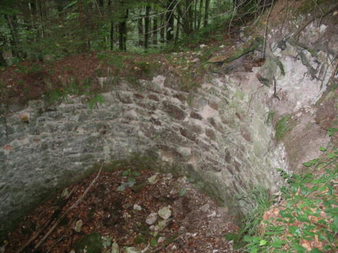 Ruine-Koenigstein.jpg