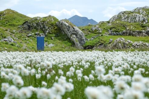 Türe Christian Piffrader