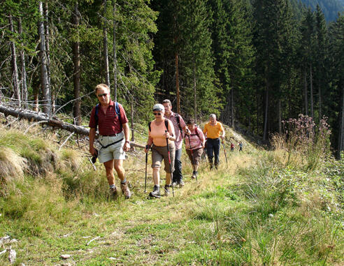 Auf dem Weg zur Baumgartenalm
