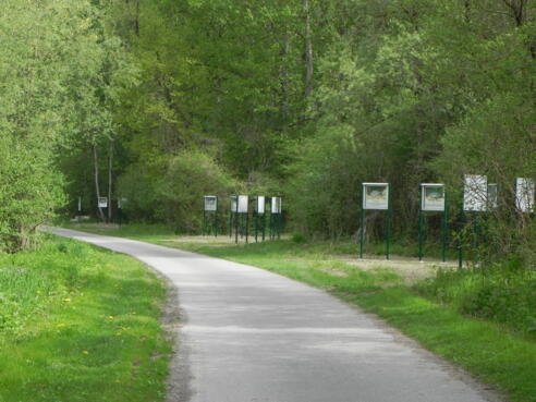 Fischlernpfad