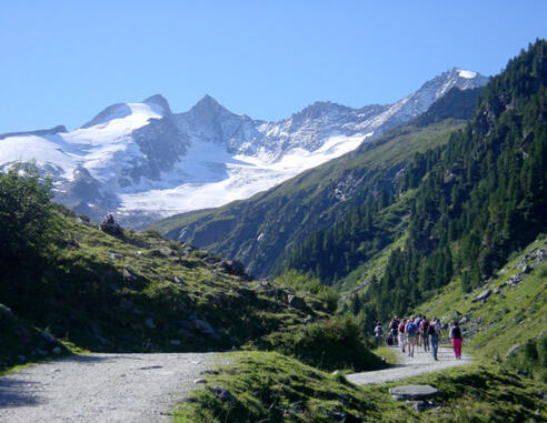 Toller Ausblick zum Talschluß mit Gabler und Reichenspitze im Hintergrund