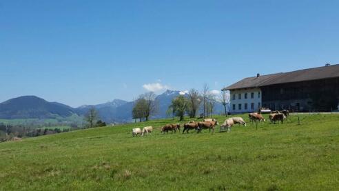 Biohof Unterstadl mit Bergblick