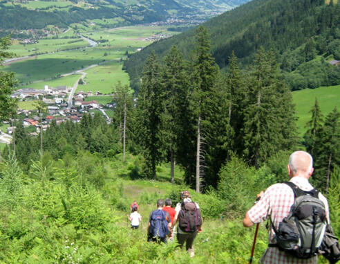 Abstieg nach Hollersbach
