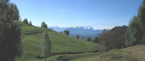 Abzweig Geserbergrundweg - hier geht&#039;s weiter nach Ahornach