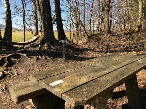 Picknickplatzl am Moorerlebnisweg