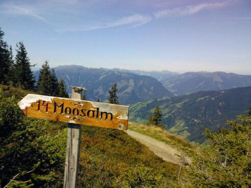 Abzweigung Moosalm über Moosalmhöhe