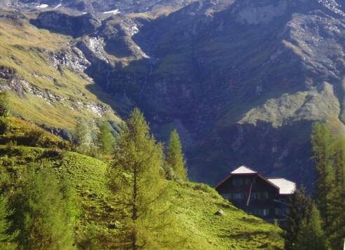 Trauneralm vom Wanderweg