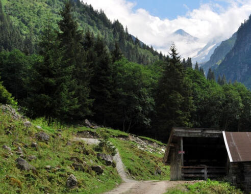 Blick zum Talschluß des Untersulzbachtales