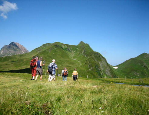 Der Gipfel ist nicht mehr weit