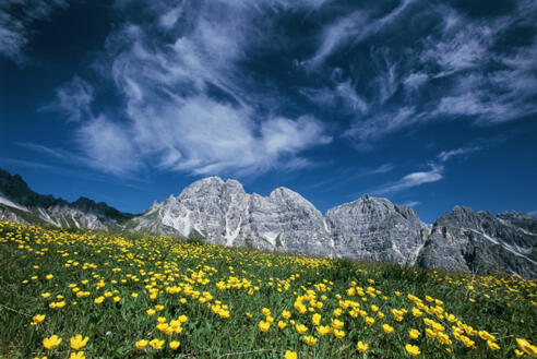 Schlicker Kalkkögel