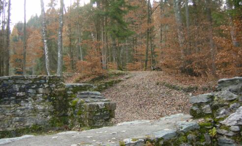 Burgruine Bachsfall