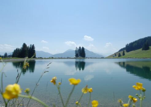 Filzalmsee