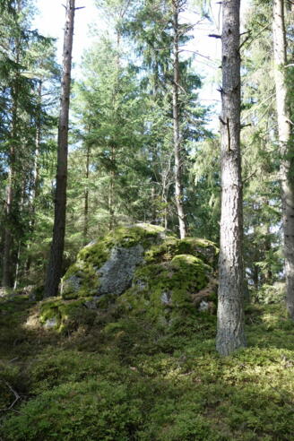 Braunberg Hauptgipfel