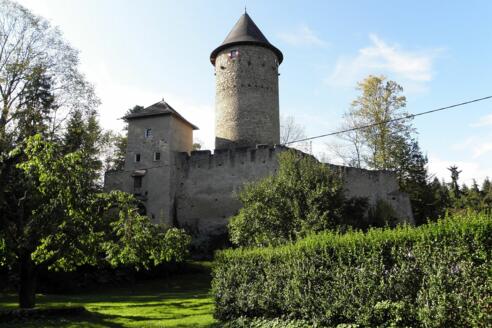 Burg Dornach