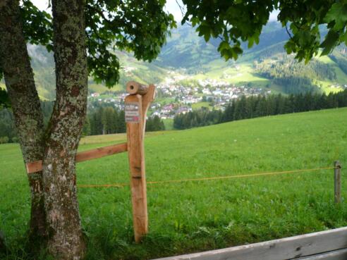 Blickpunkt Kirchboden / Wagrain