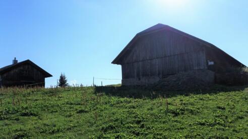 Die beiden Holzgebäude der Bazoraalpe mit Wegmarkierung.