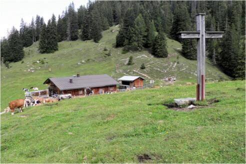 Oberbrunnalm