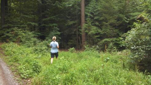 Naturnaher Weg auf Strecke &quot;12h im RÄUBERLAND&quot; 2018