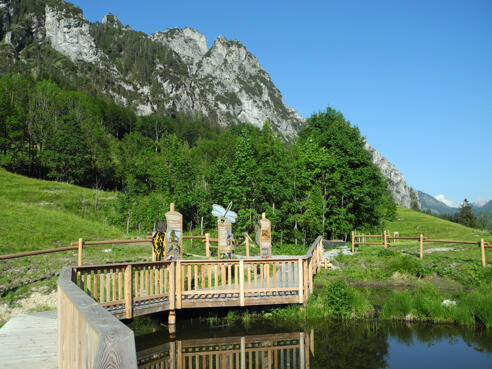 Feuchtbiotop oberhalb der Puglalm © Stückler