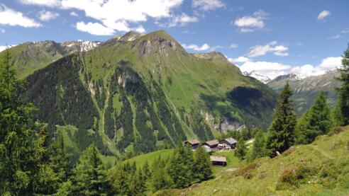 Hoanzeralm