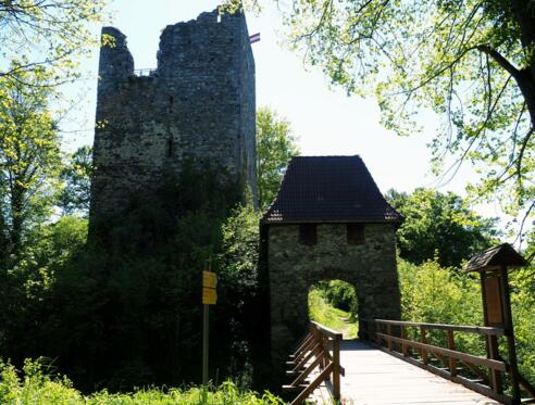 Ruine Haichenbach 471m