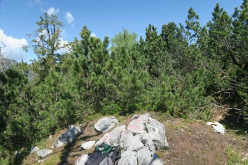 Gipfelfoto Elferkogel