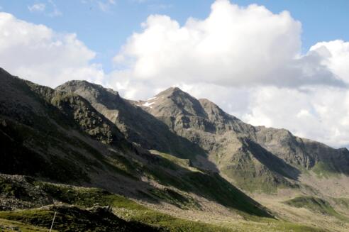 Lawenskopf und Furgler