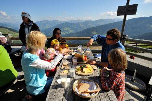 Holzalm Wildschönau GF Dabernig