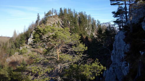 Sonnstein- Nordgipfel ~1050m