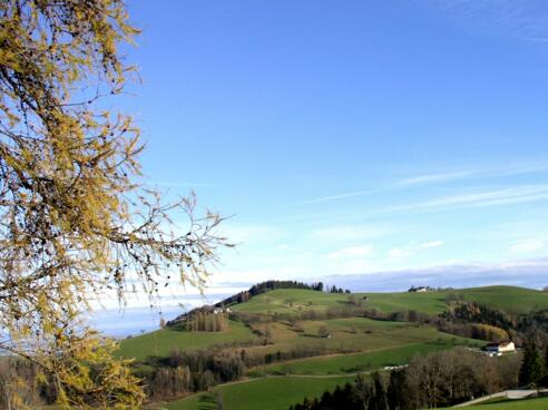 Kaiblinger Kogel 752m vom Riegler gesehen.