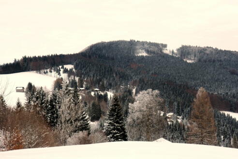Spadenberg 1000m vom Plattenberg