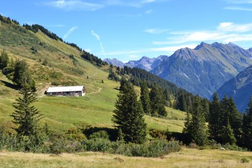 Alpe Innerer Stierhof von Westen