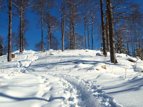 Hutberg 1.196m, Aussichtsplattform.