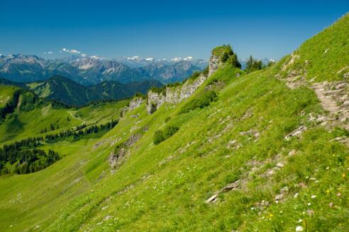 Blick zum Matonajöchle