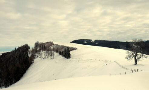 Plattenberg 919m mit Jagastand