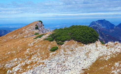 Kl.Scheiblingkogel 1966m mit Traunstein