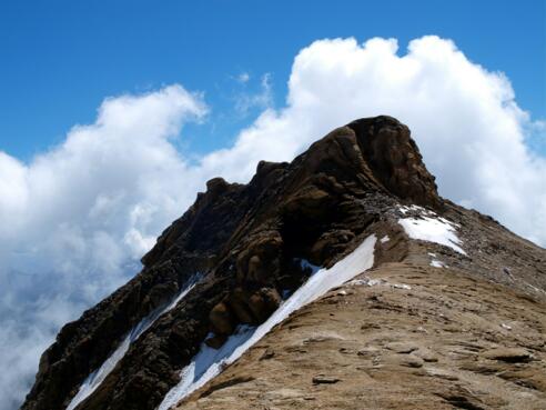 Vorderer Bratschenkopf 3401m