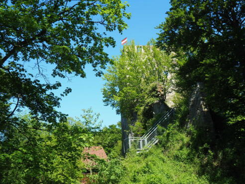 Ruine Haichenbach 471m